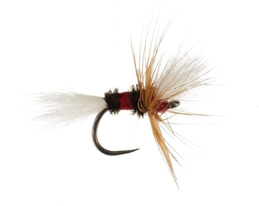 Tenkara Royal Wulff