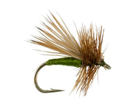 Tent Wing Caddis, Olive