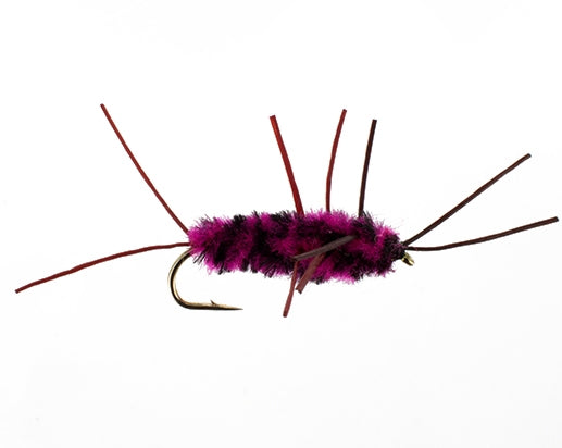 The Turd, Fuchsia