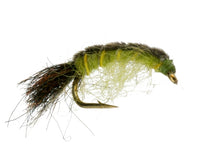 Thin Skin Larva, Olive