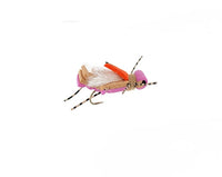 Thunder Thigh Hopper, Pink