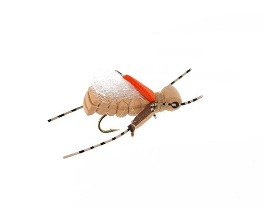 Thunder Thigh Hopper, Tan