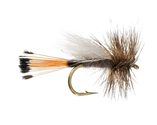 Trude, Adams fly fishing fly