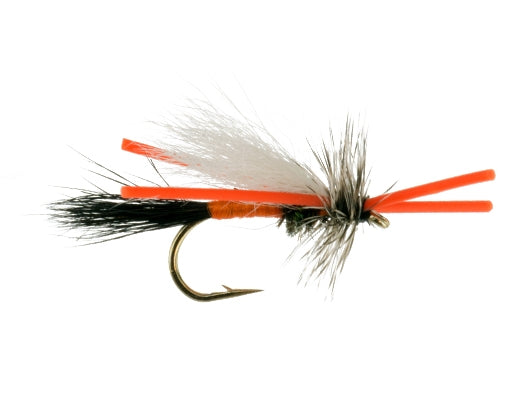 Trude, Gunnison River fly fishing fly