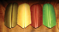 Turkey Biot Quills