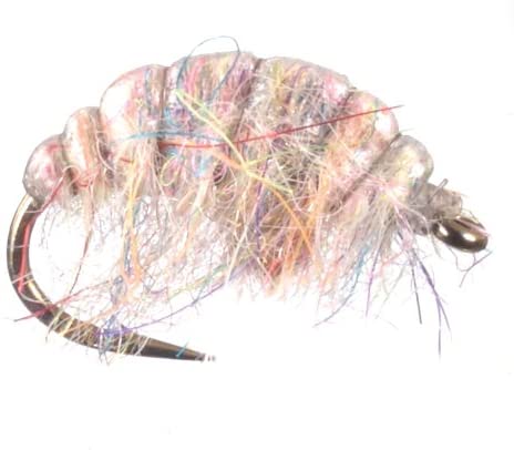 Umpqua Hunchback Scud, Rainbow