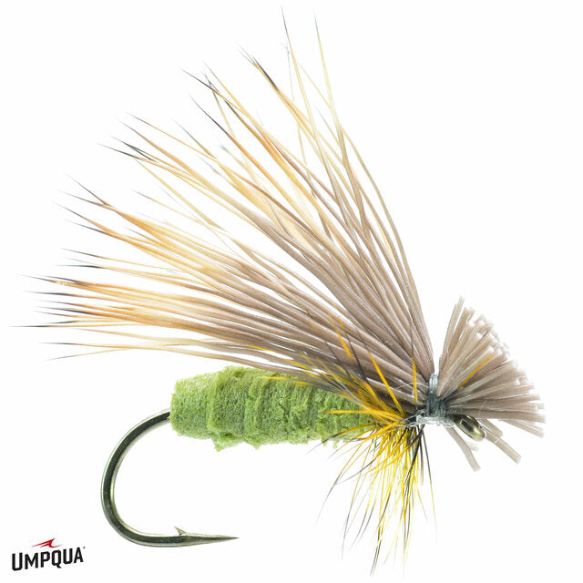 Umpqua Better Foam Caddis, Olive | Size - 16