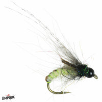 Umpqua Caddistrophic Pupa, Olive