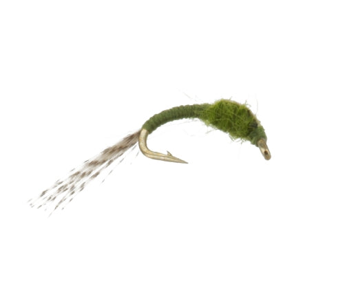 WD 40 Flashback Olive, Fly Fishing Flies, Nymphs. Discount flies at theflystop.com. High Resolution.