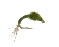 WD 40 Olive, Fly Fishing Flies, Nymphs. Discount flies at theflystop.com. High Resolution.