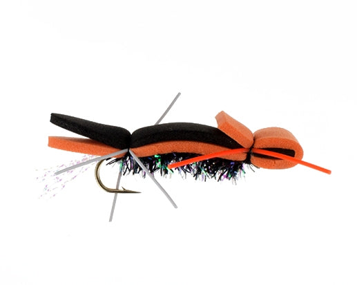 Well Dressed Ant, Orange