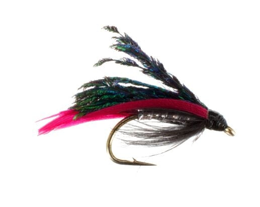 Wet Fly, Alexandria