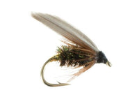 Wet Fly, Leadwing Coachman