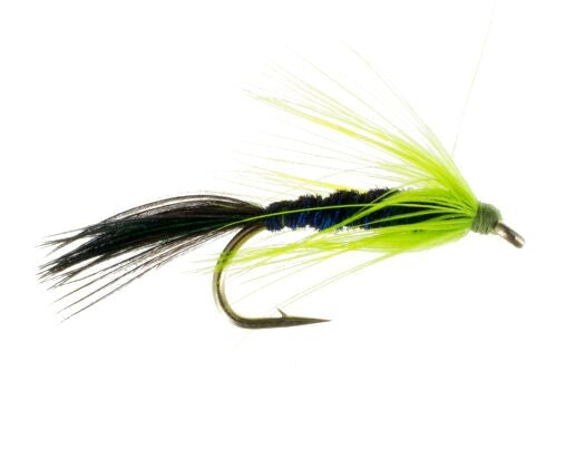 Wet Fly, Six Pack