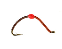 Wired Worm, Brown Orange