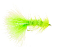 Woolly Bugger, Chartreuse