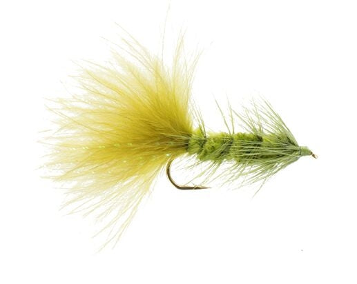 Woolly Bugger, Olive (Carp) | Size - 6