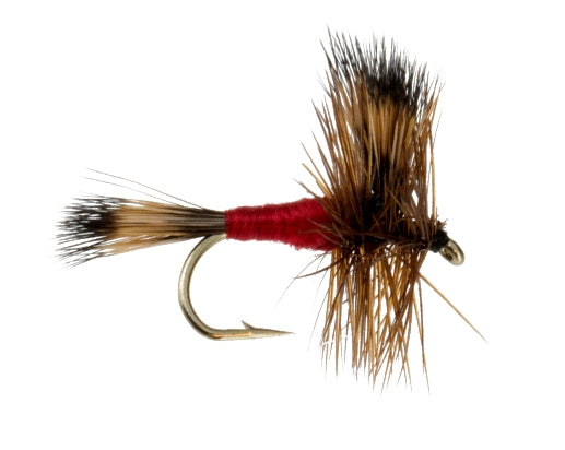 Wulff, Red fly fishing fly