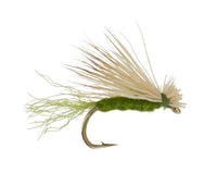 X Caddis, Olive