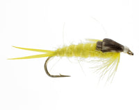 Yellow Stonefly