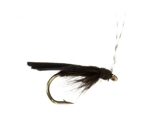 Zebra Caddis