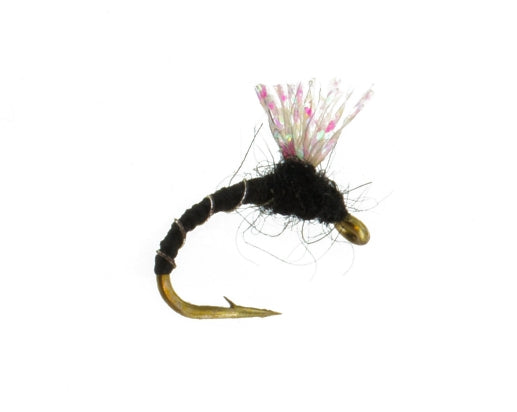 Zebra Flash Midge, Black