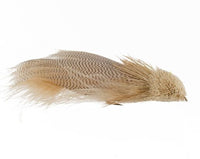 Zoo Cougar, Articulated, Tan Tandem