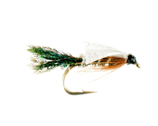 Zug Bug
