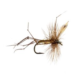 Assortment of Daddy Long Legs Dry Flies for Trout Fly Fishing