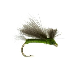 6 stries Caddis Truites Mouches Crochet Taille 10/12 Fishing Flies 